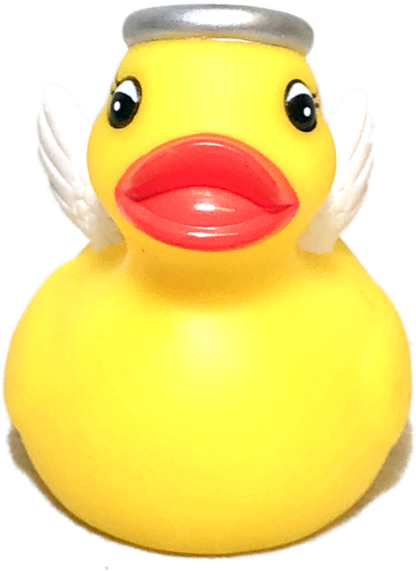 Rubber Ducky